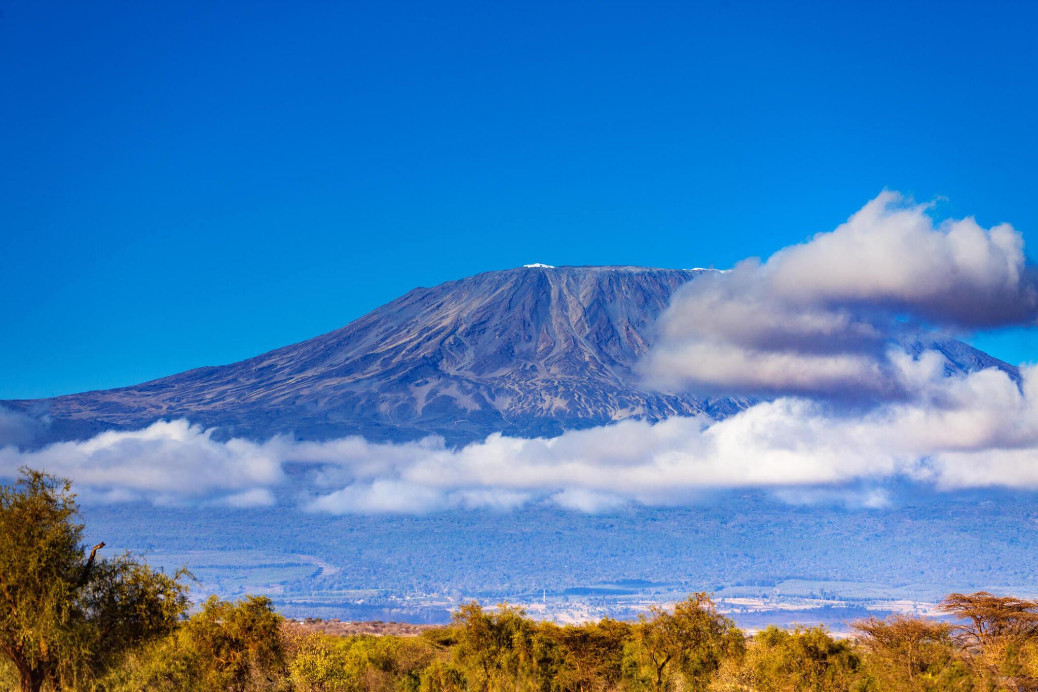 Hikers on the Kilimanjaro trail